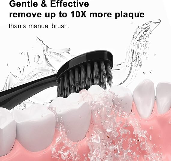 Adult Replacement Heads for Burst Electric Toothbrush with Dust Caps