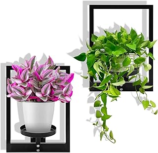 Metal Wall Plant Holder, Wall Planters for Indoor Plants, Heavy Duty Plant Wall Shelf, Vertical Space Saving - for Home, Office, Balcony(2 Pack)
