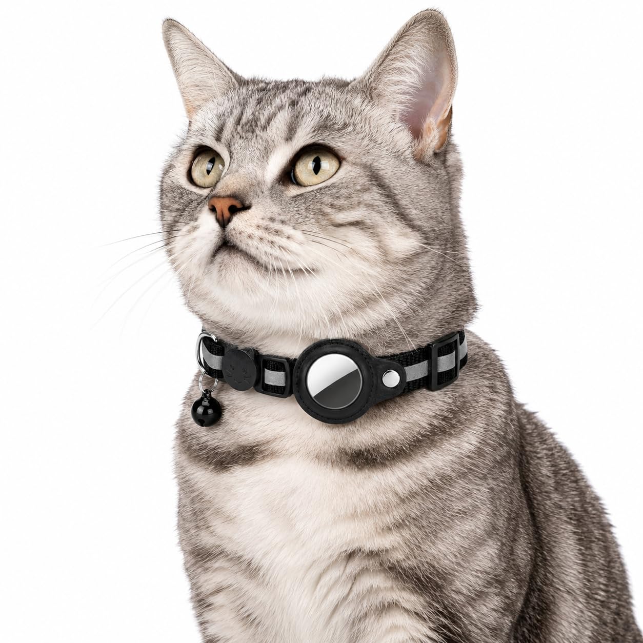 Collar localizador de gatos para paseos seguros en exterior