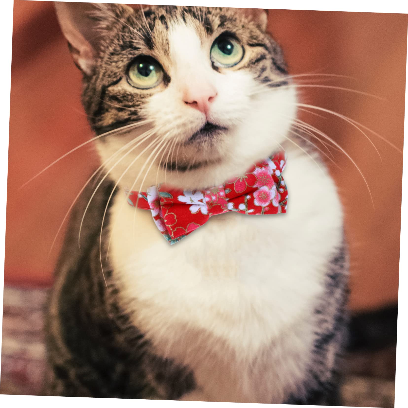 Toddmomy 9pièces Collier Réglable pour Chat avec Clochettes Et Nœud pour Animaux De Compagnie Ajustable Et Stylé