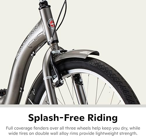 Miniatura 10 de Schwinn Meridiano