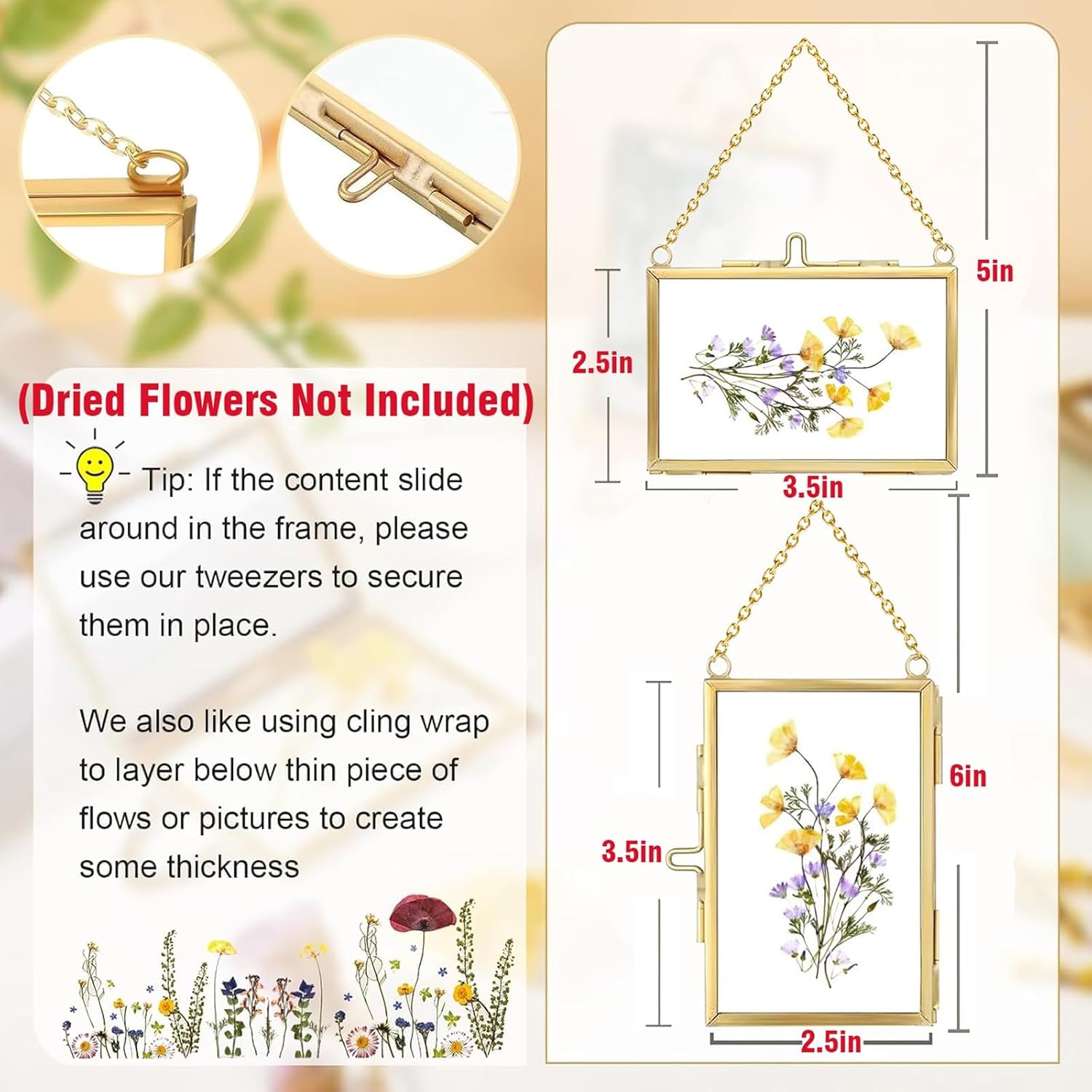 FOCHIER F 6 Pcs Pressed Flower Frame, Wall Hanging Tabletop Display Double Glass Frames with Metal Chain for Pressed Dried Flowers Plants, Horizontal and Vertical Picture Frame, Gold, FRAMES ONLY