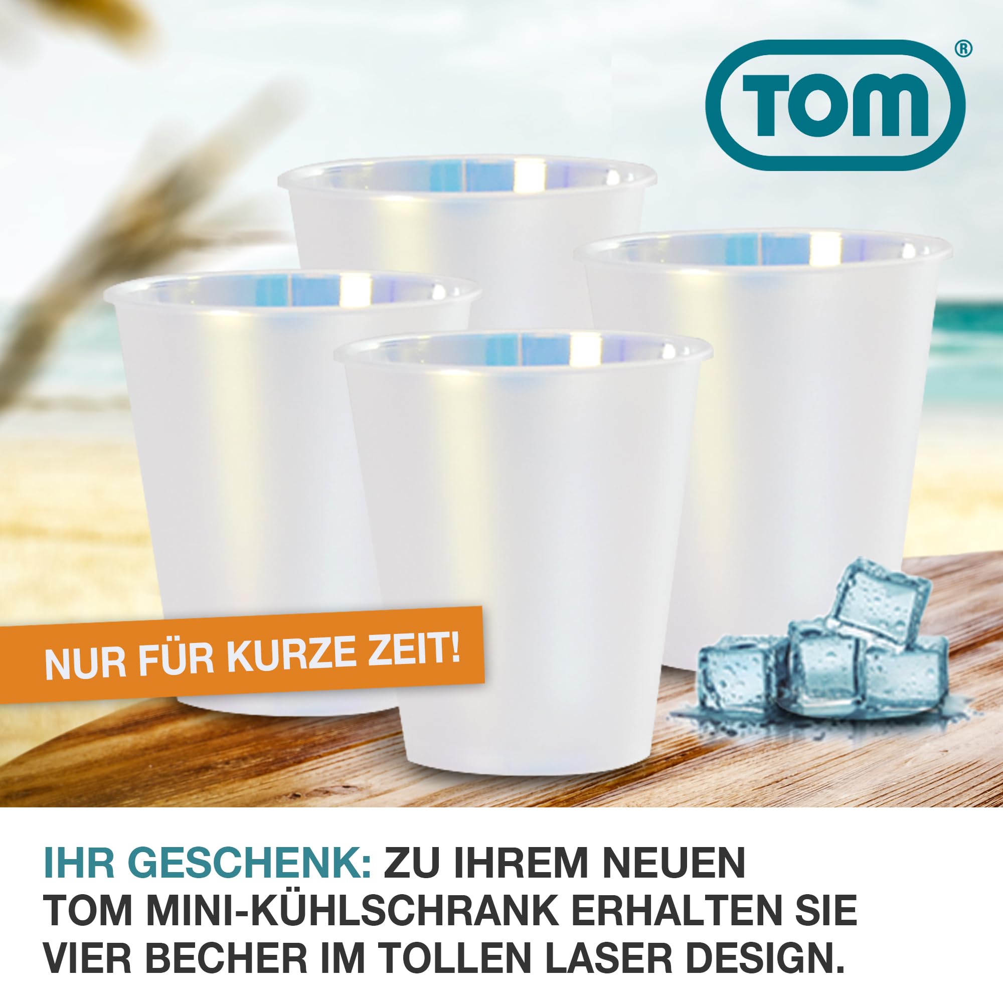 TOM 2in1 Mini Kühlschrank 15 L – Kühl- & Heizfunktion | Tragbarer leiser Kühlschrank für Auto, Camping, Wohnmobil, Gaming und Kosmetik – kompakter Minikühlschrank in Schwarz & Mint