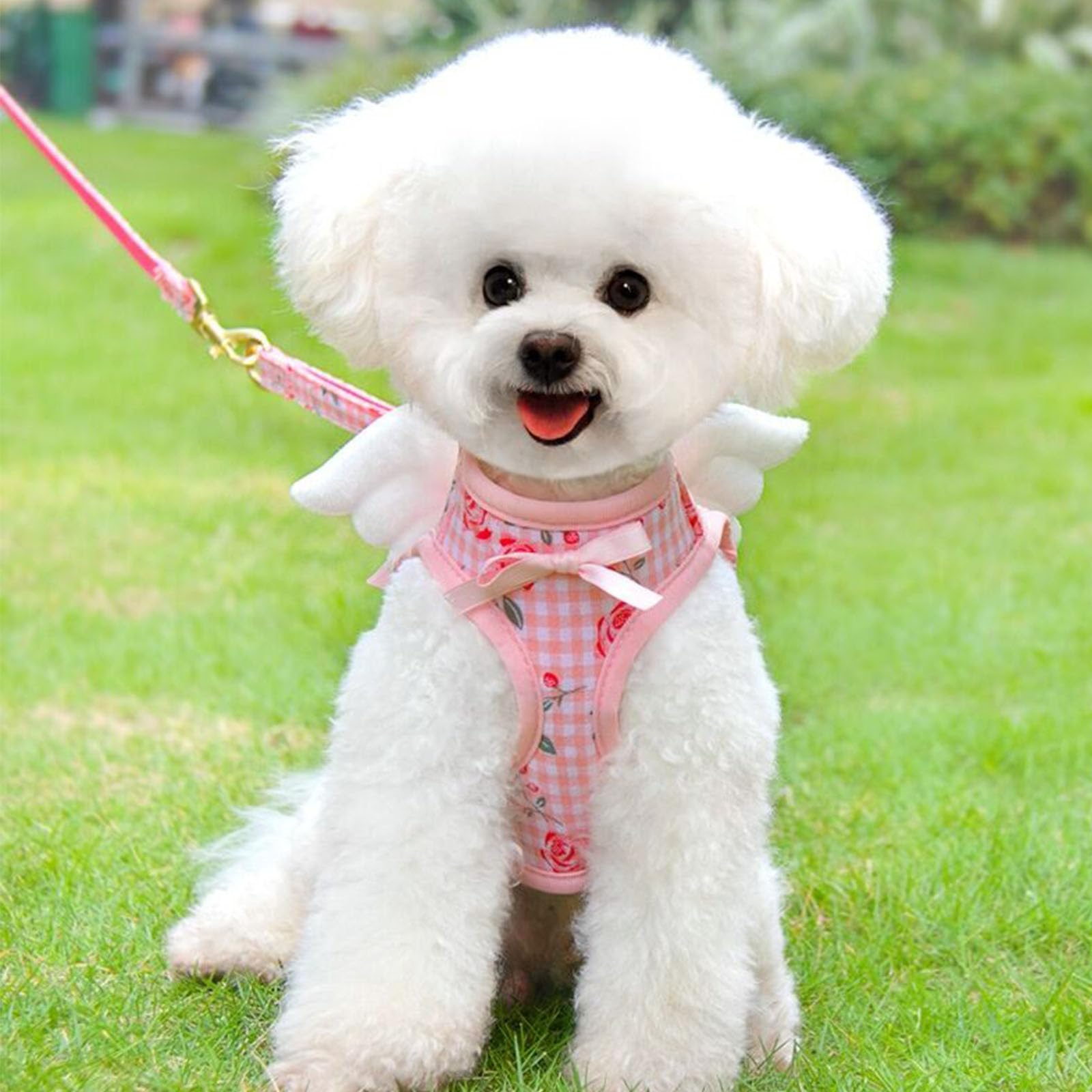 Dog Harness and Leash Set with Angle Wings,Pet Adjustable Mesh Vest Harness with Wings and Bow for Small Medium Dogs Cats_S(Pink Flower)