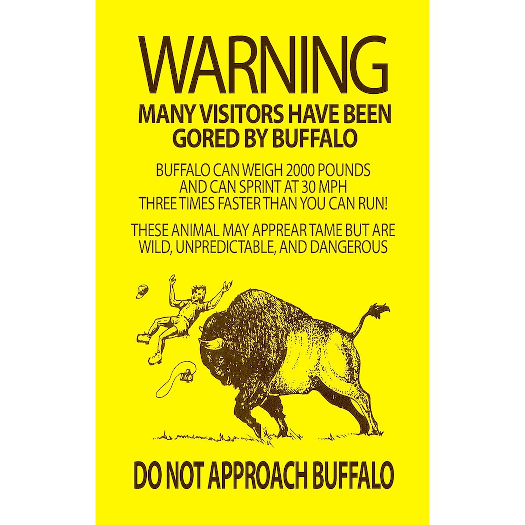 CafePress Warning: Buffalo Rectangle Sticker Rectangle Bumper Sticker Car Decal