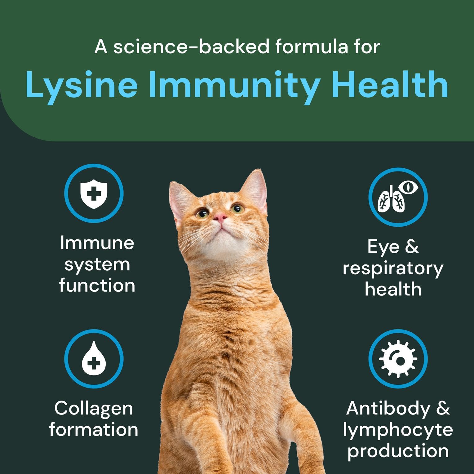 VetriScience Extra Strength Lysine Immunity Health Chews, 120 Count — Amazon image 4