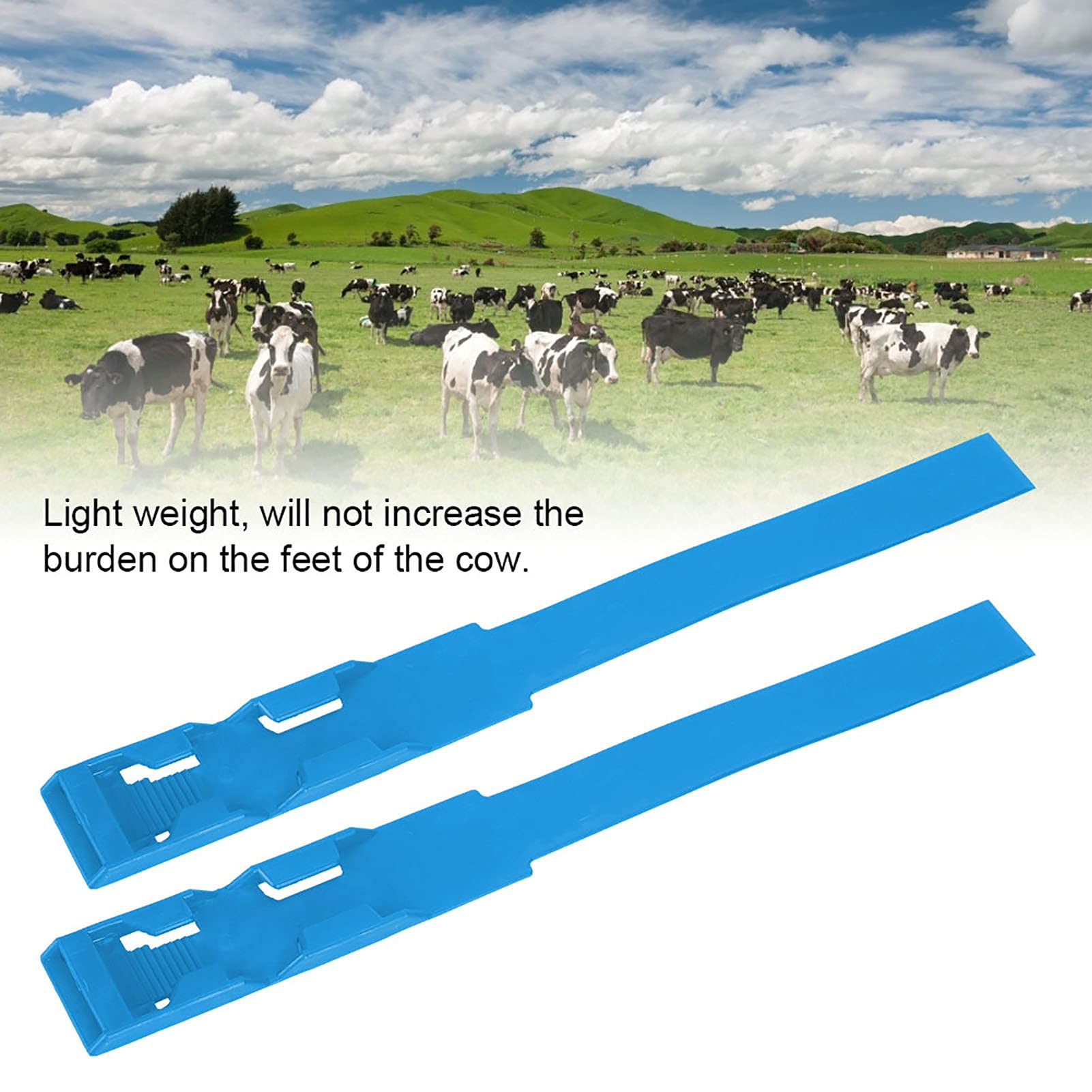 Cyrank Cow Identification Bands 10pcs, Livestock Identification Bands Cattle Leg Band Cattle Identification Rings Cattle Foot Marking Tape Cow Cattle Marking Supplies for Farm Livestock(Blue)