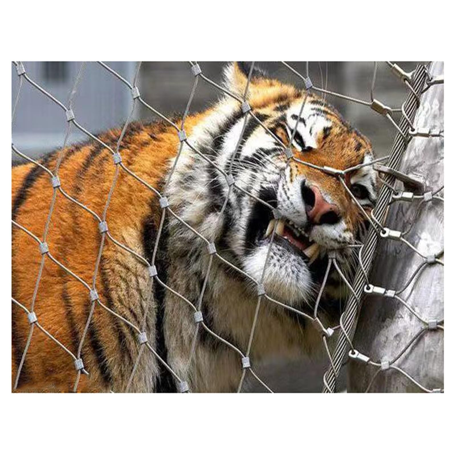 Buy 304 Stainless Steel Wire Rope Netting,Flexible Wire Rope Mesh with ...