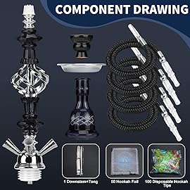 Hookah Set With Everything 4 Hose - GRENAOH 22 Premium Hookah Shisha set with Glass Vase, Ceramic Bowl and Coal Tongs Ashtray (4-blue)