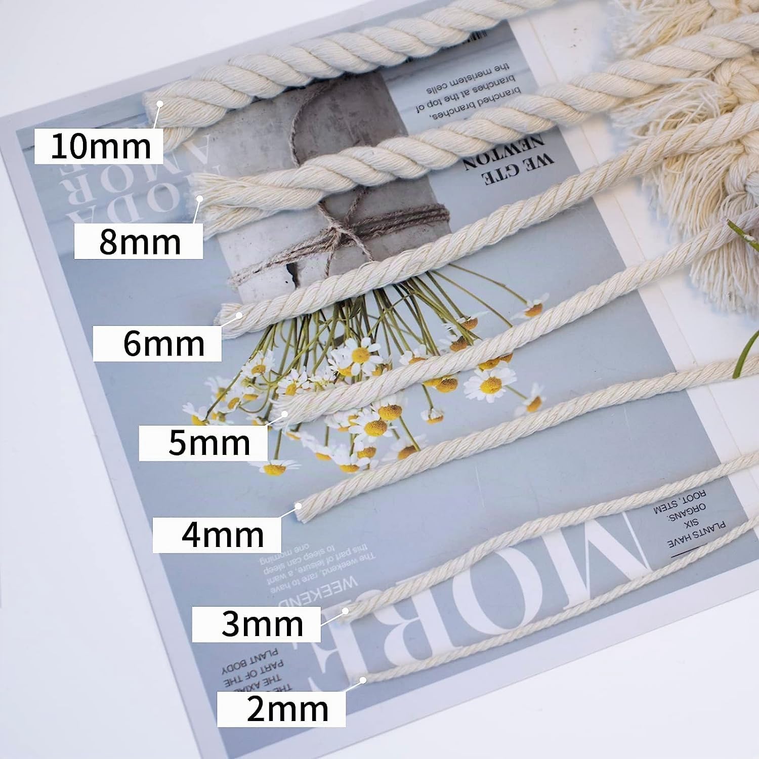 4 mm x 500 m Beige Cordon en Coton macramé Doux, 4 brins torsadés 100% Coton Naturel pour accrochage Mural, Bricolage, Artisanat, Tricot, accroche-Plantes, projets de décoration