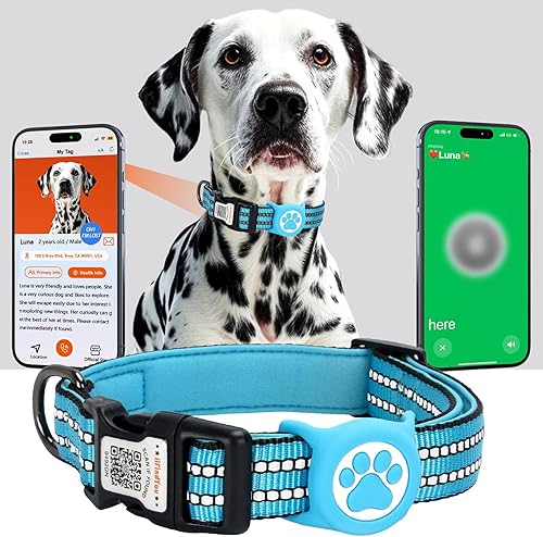 AirTag - Collar de perro para perros grandes, impermeable IP68, collar de perro con soporte para Apple AirTag, reflectante, etiquetas de perro