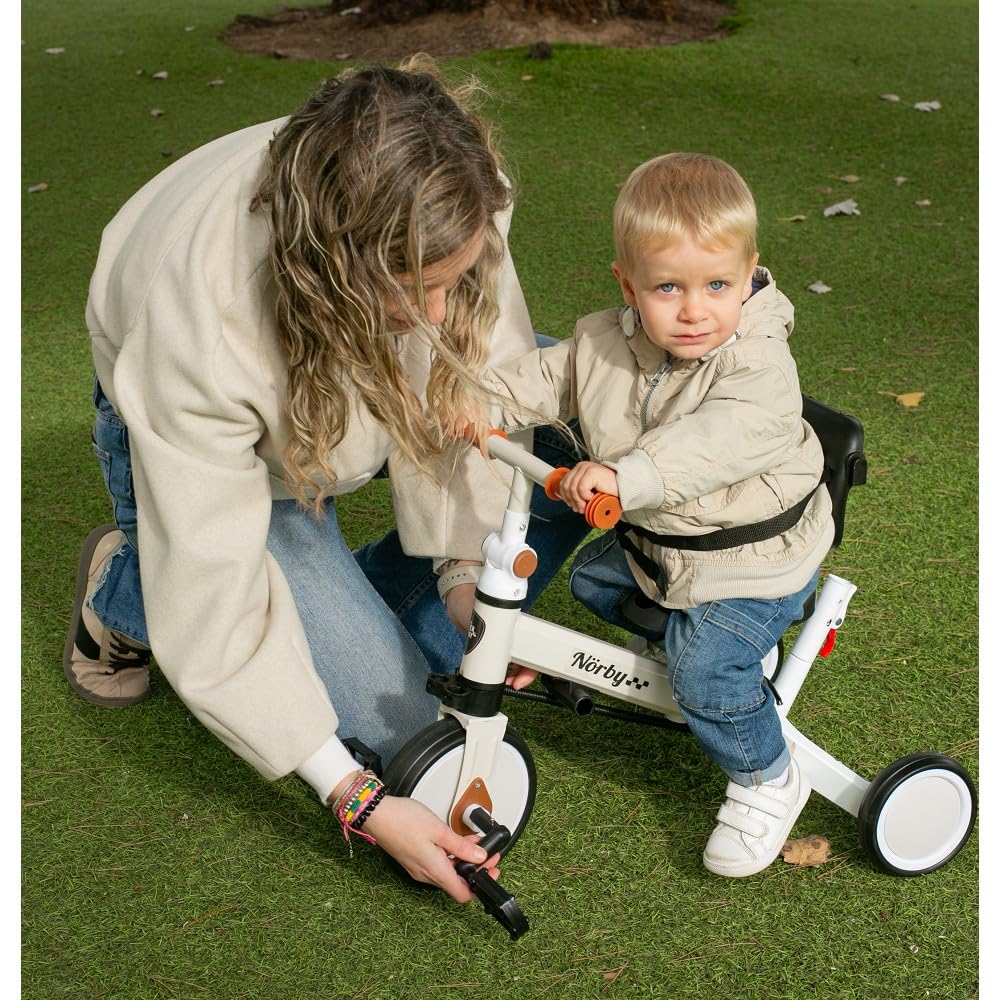 Interbaby Norby: 5 in 1 Dreirad und Laufrad mit Verdeck, 1 bis 5 Jahre