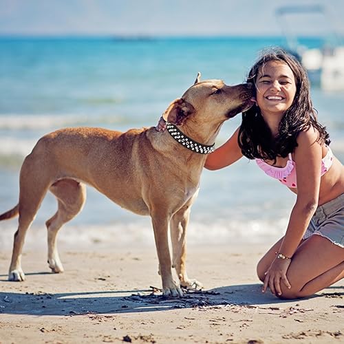 Miniatura 3 de FUNOJOY Collar de púas para perros con correa, remache de hongo ajustable de piel sintética para mascotas pequeñas, medianas y grandes
