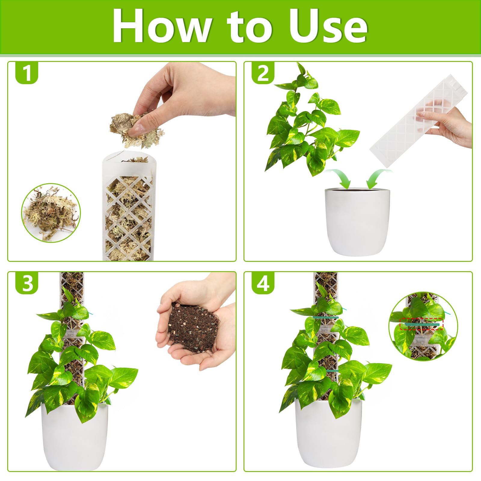 Varillas de Musgo, 4 Piezas 35cm (Tutores para Plantas + Inserción en Tierra) + 150 g Musgo Sphagnum, Tutor Musgo, Postes de Musgo de Plástico, para Plantación de Jardín, Hiedra, Monstera, Pothos