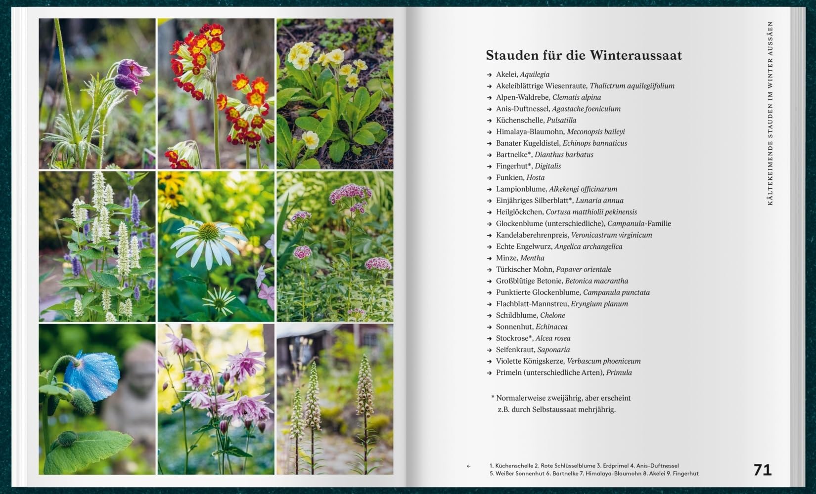 Mit Kaltanbau zu grünen Wundern: Für ganzjährige Erntefreude und robuste Pflanzen. Das ganze Jahr über aussäen, pflanzen und ernten: Gemüse, Stauden und Sommerblumen nachhaltig anbauen.