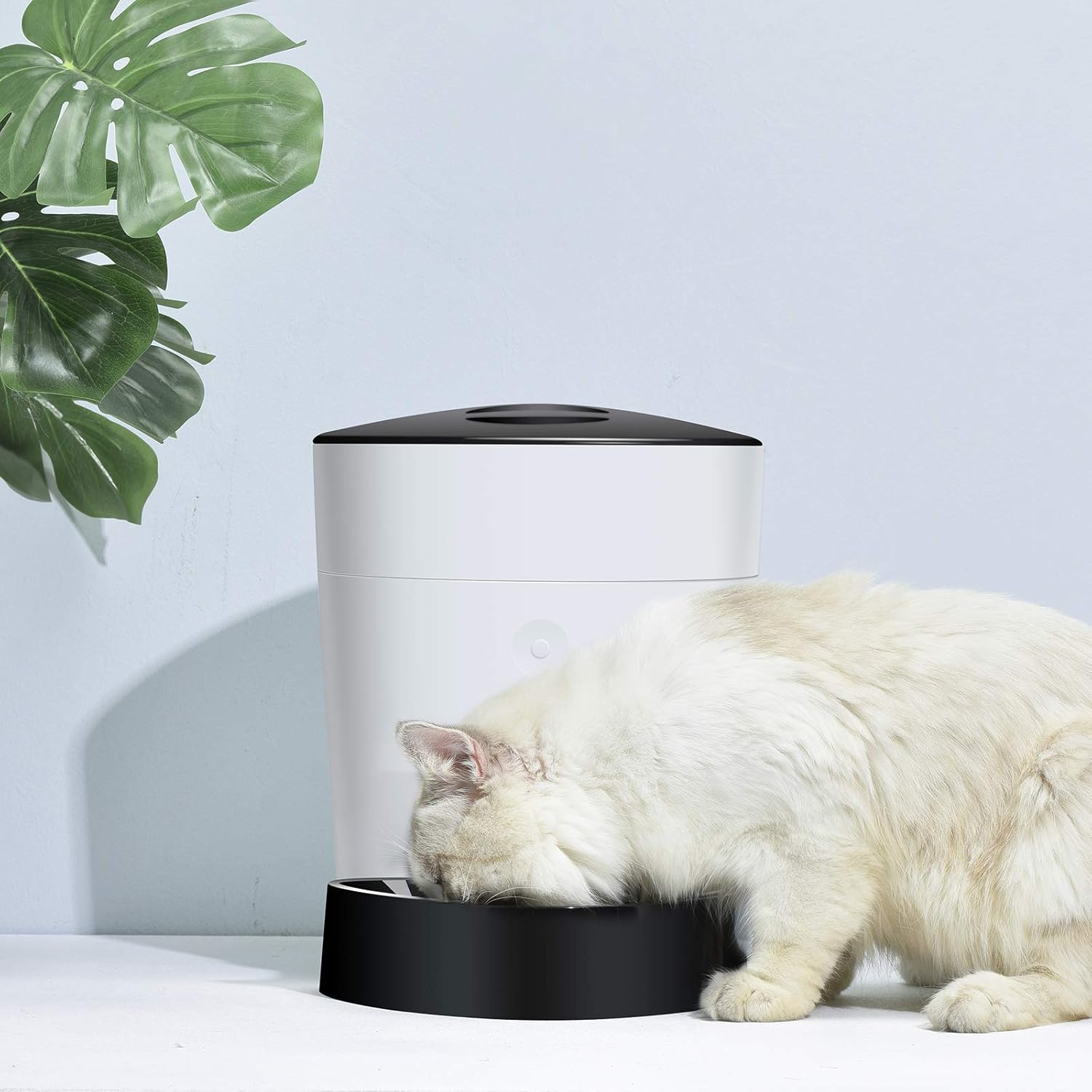 ELSPET Automatic Cat Feeder, 4L Auto Pet Dry Food Dispenser with Silicone Mat, Portion Control 1-8 Meals per Day & 10s Voice Recorder for Small & Medium Pets : Pet Supplies