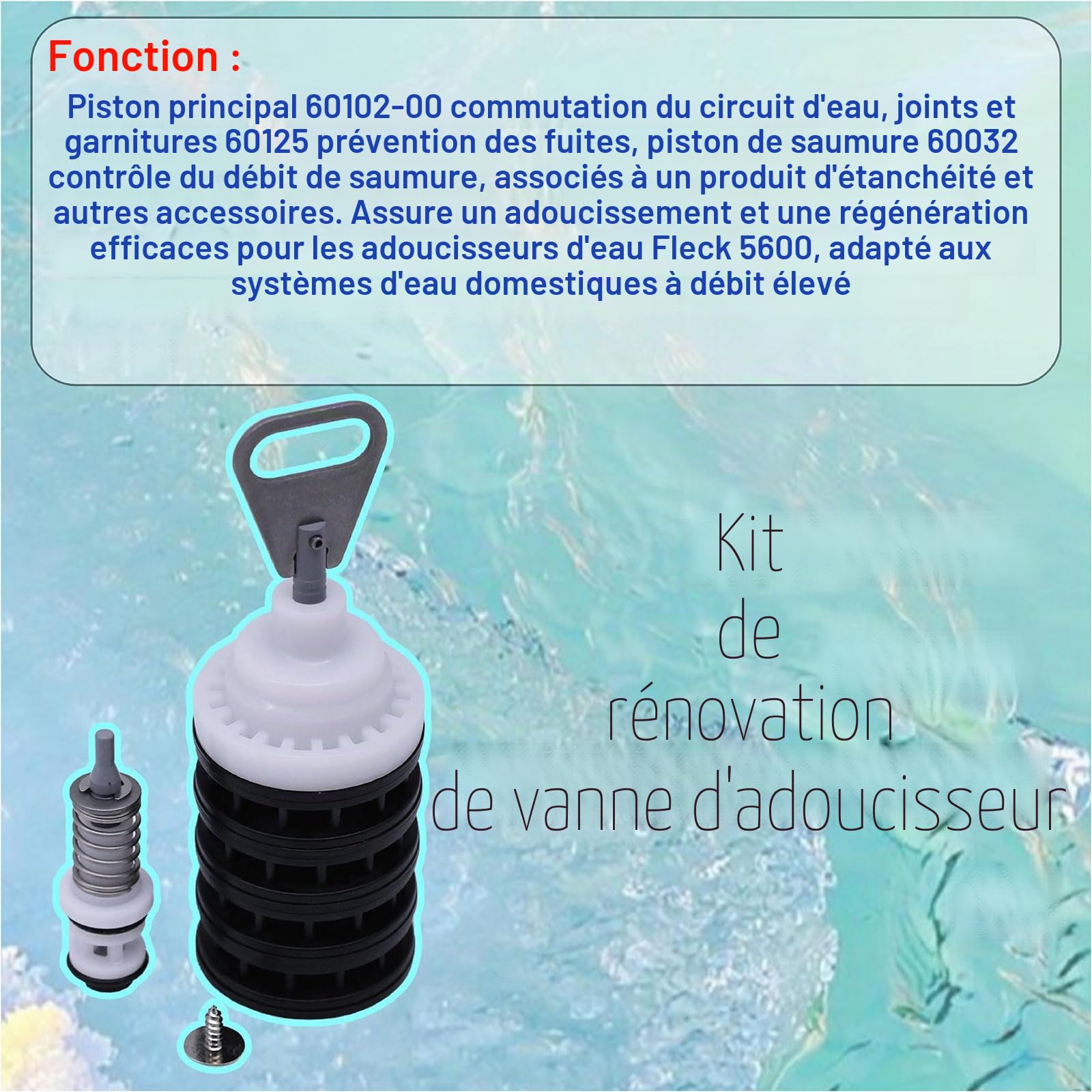 Kit de rénovation de valve d'adoucisseur compatible avec Fleck 5600, comprend le piston principal adoucissant 60102-00, les joints et entretoises 60125, vis, piston de saumure 60032 et joint inférieur