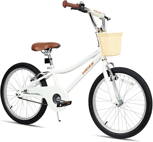 WEIZE Girls Bike for 6-12 Years Old, 20 Inch Kids Bike with Basket and Kickstand, Retro Style Childrens Bicycle for Teen Girls, Lightweight Steel