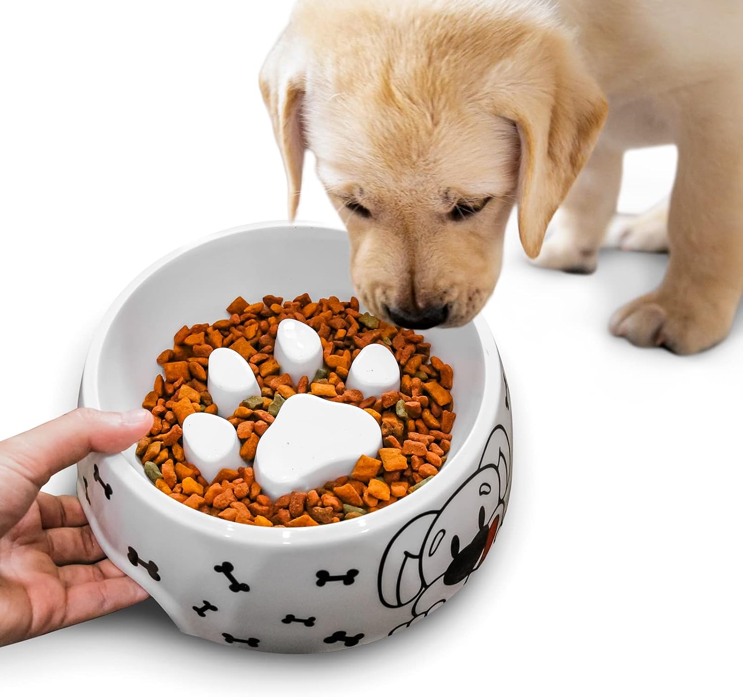 PawKuchen Dog Slow Feeder, Anti-Skid Design Puppy Bowl Slow, Cute Slow Feeder Small Dog Bowl, Fun Maze Feeder Slow Feeding, Slow Eat Dog…