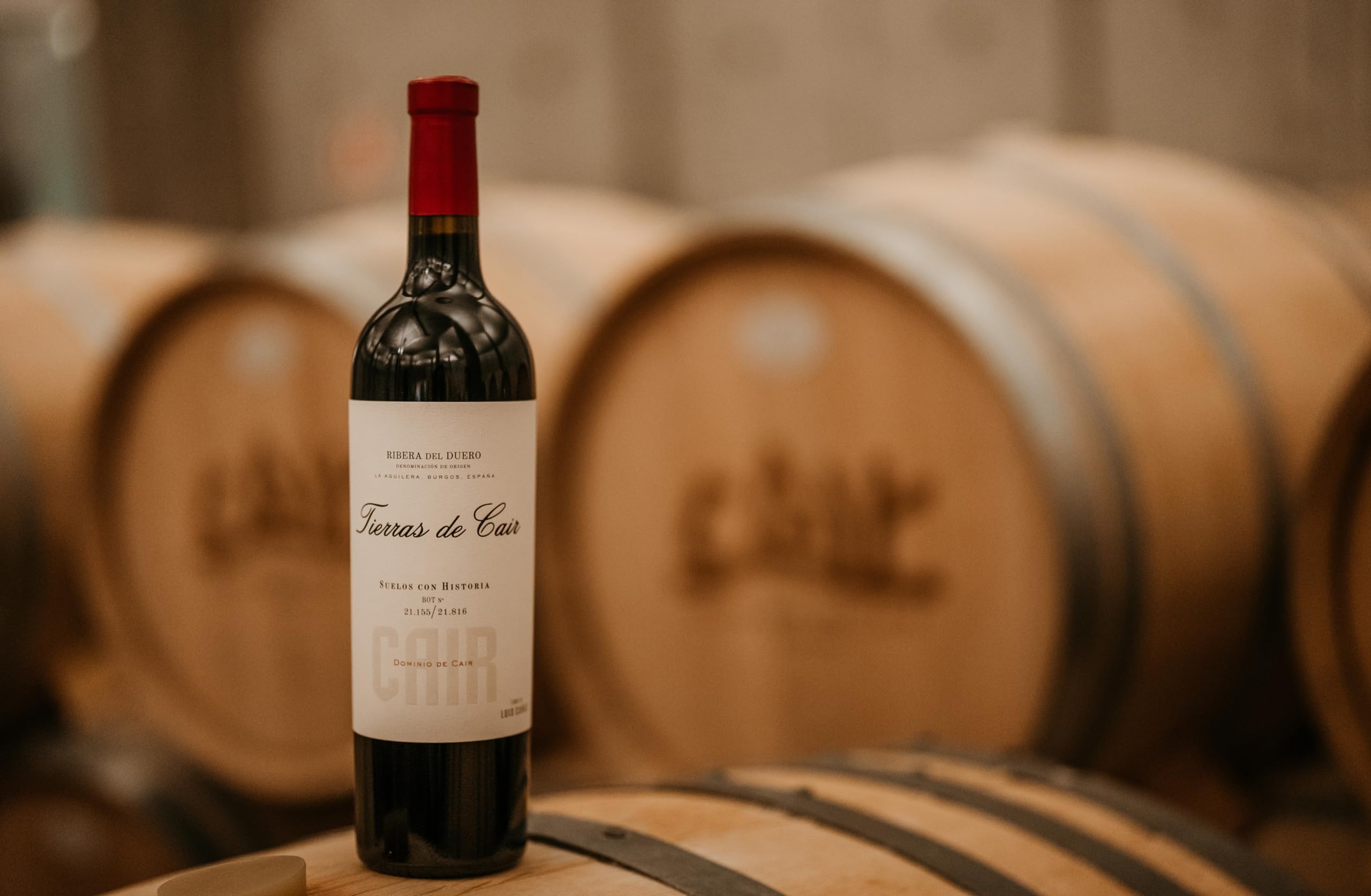 Tierras de Cair - Vino Tinto con D.O. Ribera del Duero - Reserva - Variedad Tempranillo - Intenso y Complejo - Reposo en Barrica de Roble Francés - Incluye Estuche Cartón Premium - Botella de 75 cl