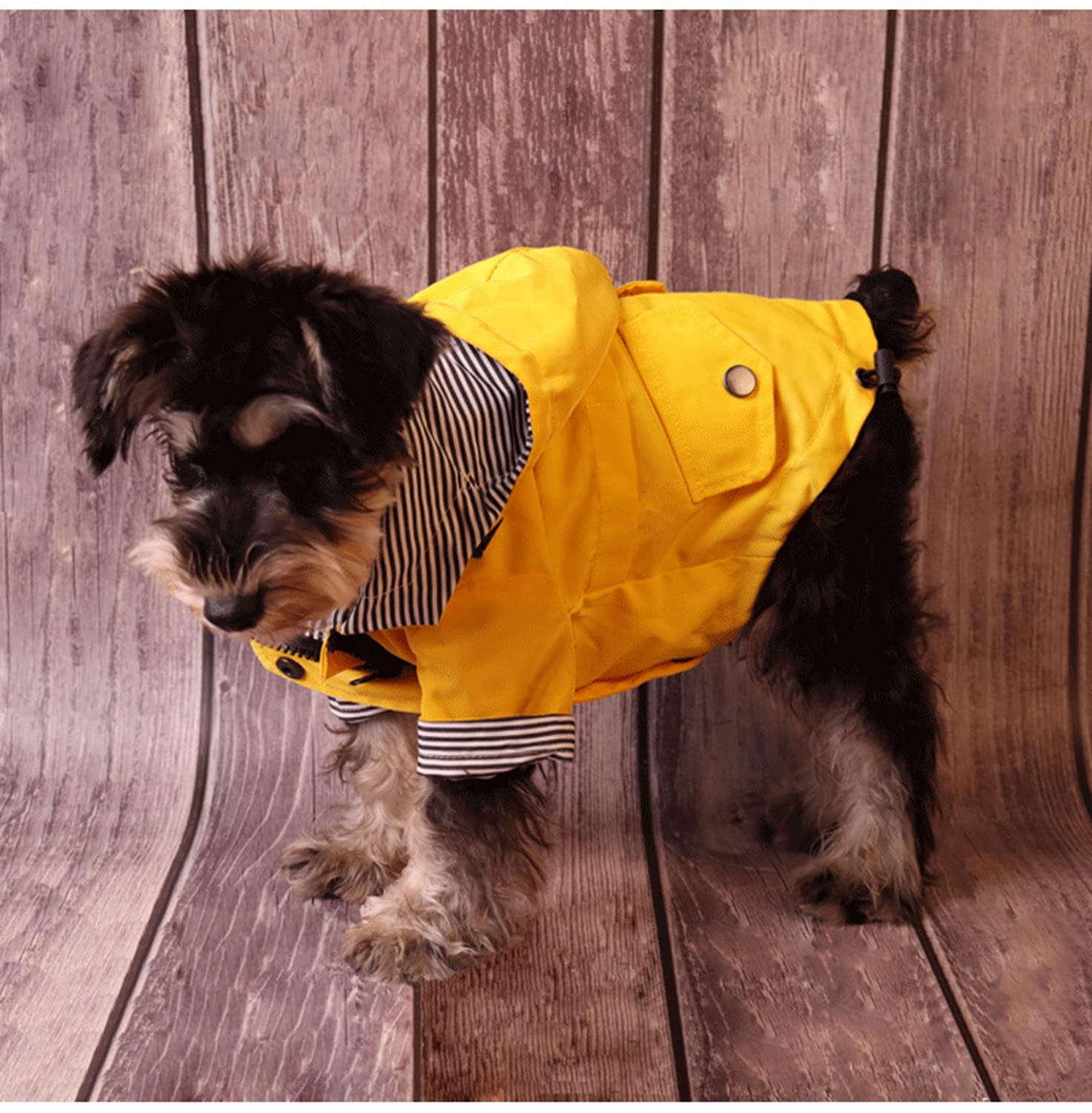 Skateboard Frog Veste de pluie pour chien avec fermeture éclair – Manteau de pluie résistant à l'eau – Élégant pour chien (taille L, jaune)