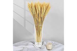 Sukh Decorative Wheat: 12.9" Dried Wheat Stalks for Crafting, Home Decor, and More