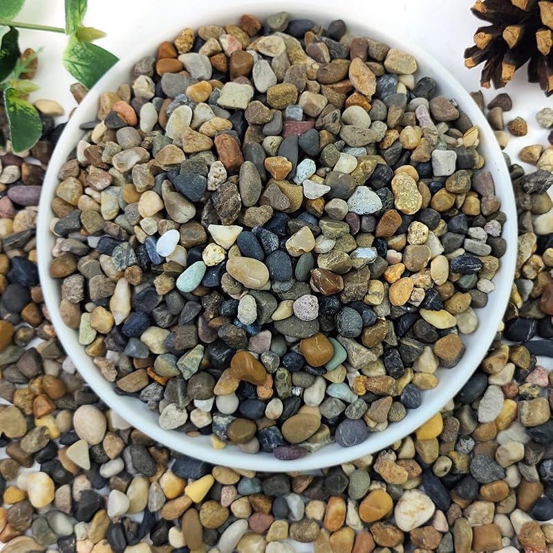 Rocas naturales de río de 20 libras, grava de acuario de 1/4 pulgadas, rocas pequeñas | para plantas, grava de guisantes para peceras, guijarros decorativos para jardinería, macetas, jarrones, fuentes de agua interiores, paisajismo