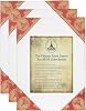 Creative Mark Paris Oil Primed Artists' Ultimate Stretched Linen Canvas - Premium Heavy Duty European Style Linen Canvas 3-Packs for Professional Artists, Oils, Archival Work & More! - 8x10
