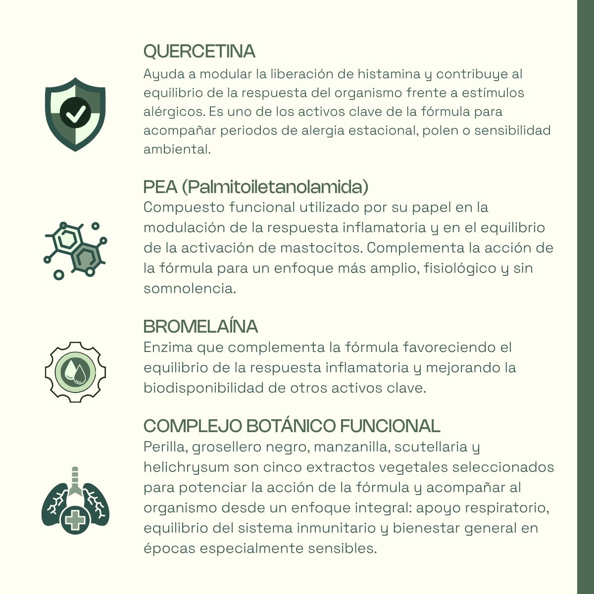 SYNSERA - Antihistamínico Natural con Quercetina, Bromelaína, PEA, Perilla, Scutellaria, Helichrysum - Apoyo Respiratorio y Respuesta Histamínica - Alergia Primaveral - Sin Somnolencia - 120 compr.