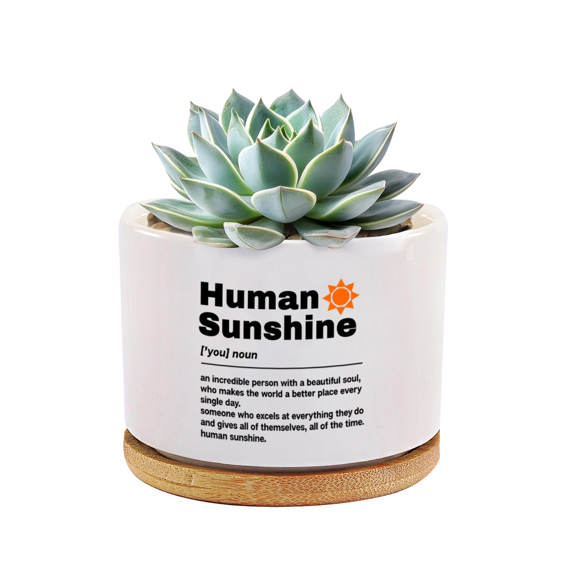 Pot de fleurs succulentes Human Sunshine en céramique blanche et bambou