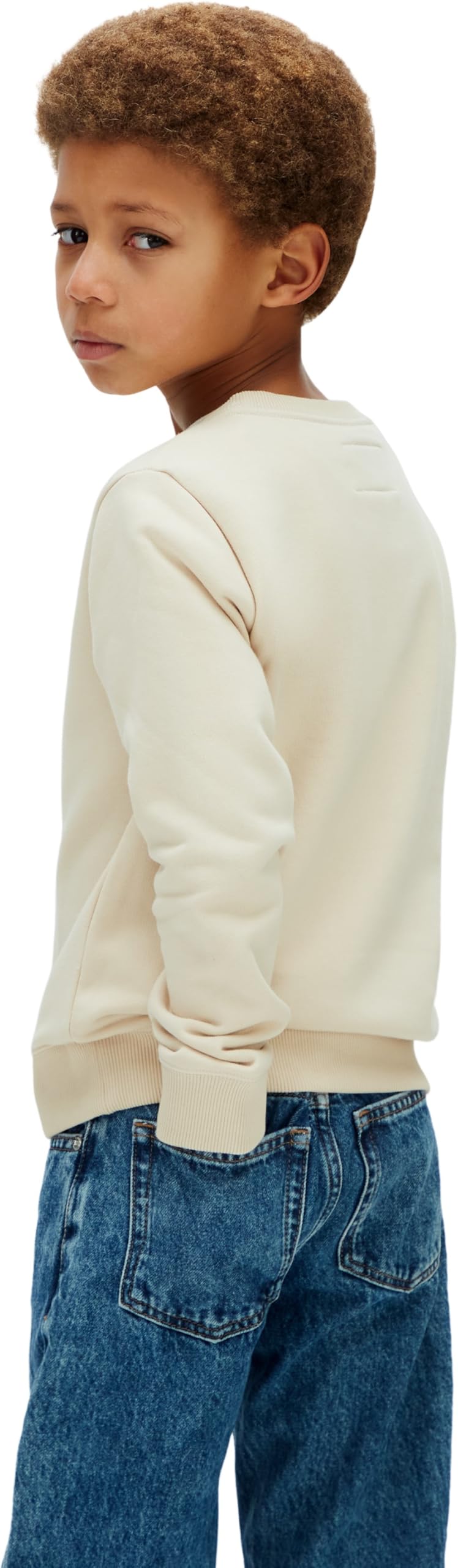 Calvin Klein Mini Badge Reg Cn Lv1cksjb33 Otras Sudaderas Unisex niños
