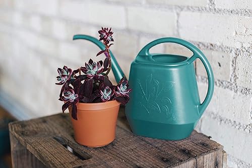 Vista 8 de ADAMS USA Bloem - Regadera de lujo Calypso