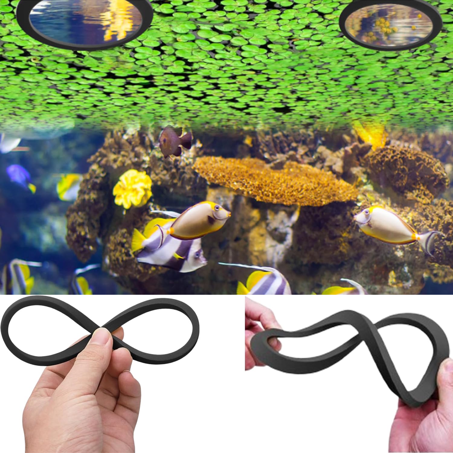 Anelli Di Piante Galleggianti 10 Pezzi, Anello Galleggiante Rotondo Per Acquario, Recinto Per Piante Galleggianti Per Pesci Rossi Tartarughe Nero e Verde