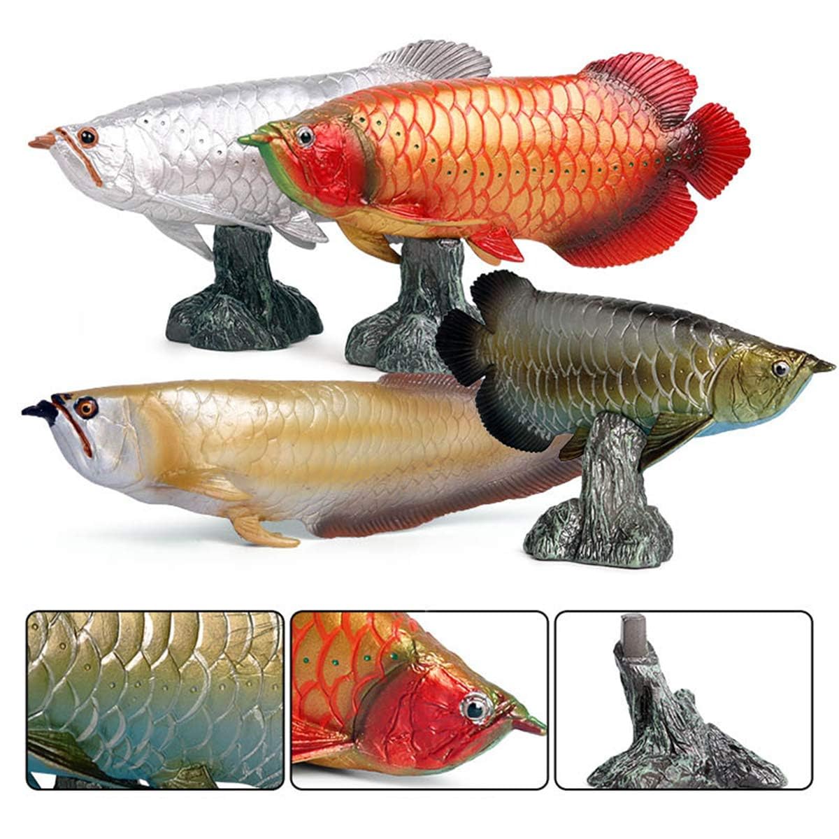 Amazon.co.jp: EUHELOPA アジアアロワナ フィギュア 紅龍 龍魚 淡水魚
