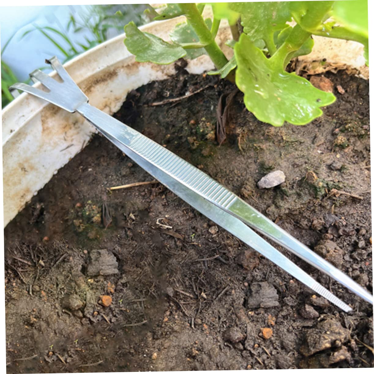 UKCOCO 3 Set Strumenti Per Bonsai Inossidabile Pinzette E Rastrello Per Giardinaggio Utensili Leggeri E Compatti Per Piante 2 Pezzi*3