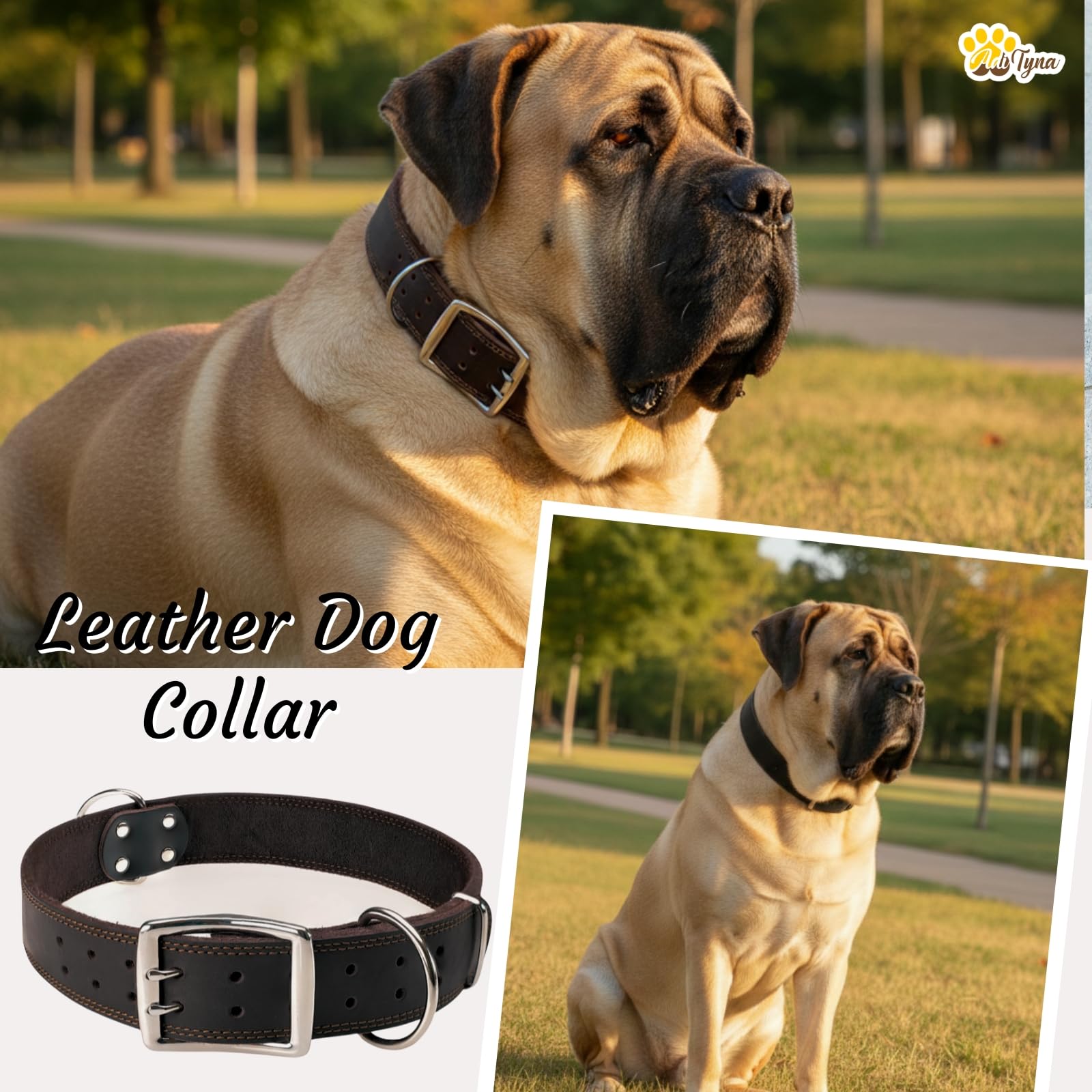 ADITYNA Großes Leder-Hundehalsband – XXL-Hundehalsband für riesige Rassen wie Mastiff, Bernhardiner, Neufundländer, Kangal (schwarz, riesig: passend für Halsumfang von 76,2 - 91,4 cm)