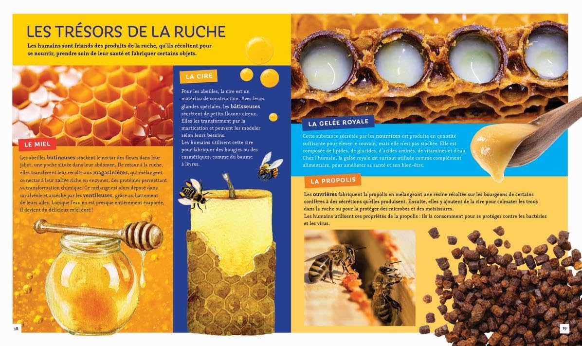 Pas si b�te - L'abeille � miel Bonin, Pierre Alexandre - PT02