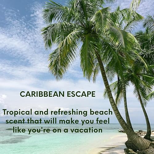 Miniatura 2 de Buyitshipit - Fragancia Caribbean Escape de nuestra colección Beach - Perfecto para añadir aroma a frescos, velas, jabones y difusores - 8 onzas