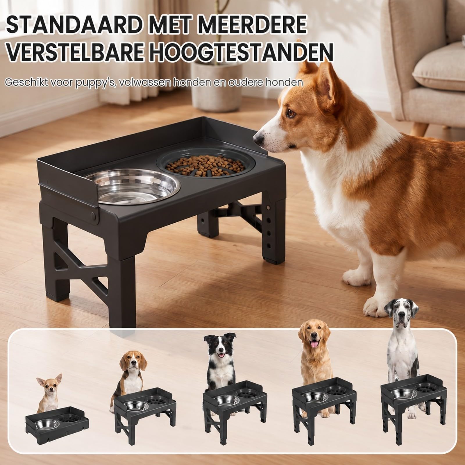Cuenco para perros elevado, de acero inoxidable 304, con cuenco antienredos