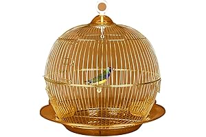 Luxury Gold Birdcage for Avian Elegance