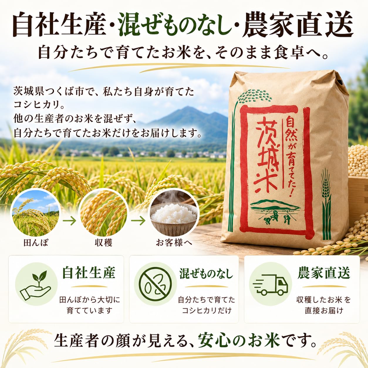 Amazon.co.jp: 【令和8年産 新米】茨城県産 コシヒカリ 玄米 30kg 単一