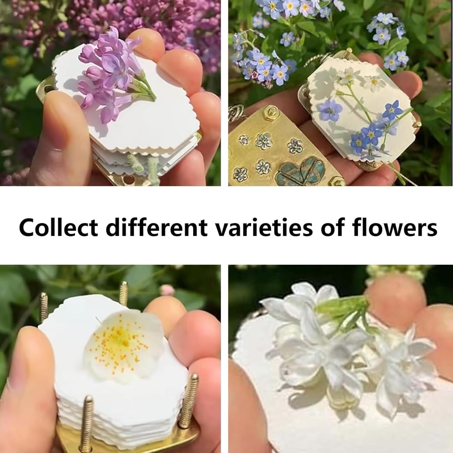 SMORBRID Micro Flower Press Plants Art & Crafts Metal Flowers Pressing, Microwave Flower Press, DIY Pressed Plant Preservation Kit Art for Arts and Crafts Lovers Gifts (Bluet)