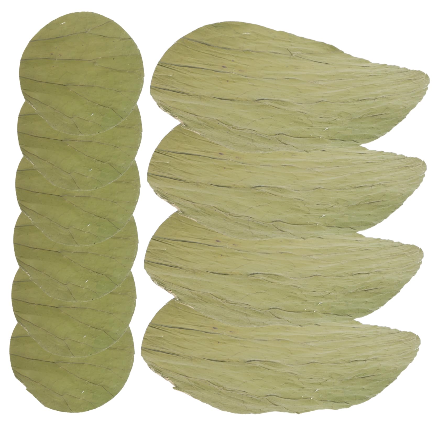 Décor de sushi en lotus séché naturel haut de gamme pour l'art de la table et réceptions