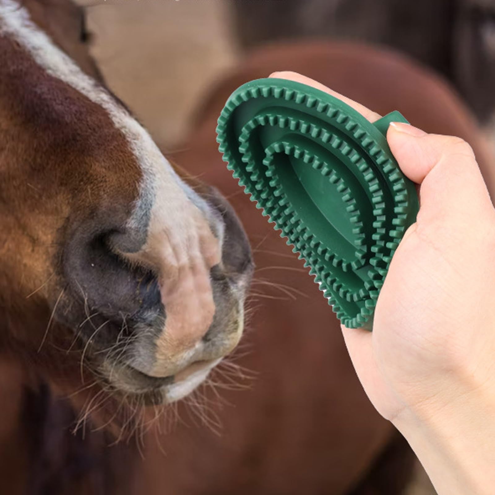 Kit de aseo de caballos, 5 piezas con cepillo para pezuñas, peine de cola, raspador de pelo, cepillo facial para cuidado equino