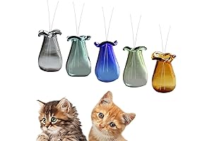 Unique Cat Whisker Jar, A Safe Haven for Precious Cat Whiskers