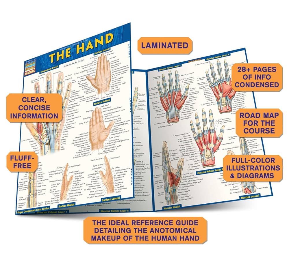 健康・医学 paipant guide The Hand: QuickStudy Laminated Reference Guide: Perez