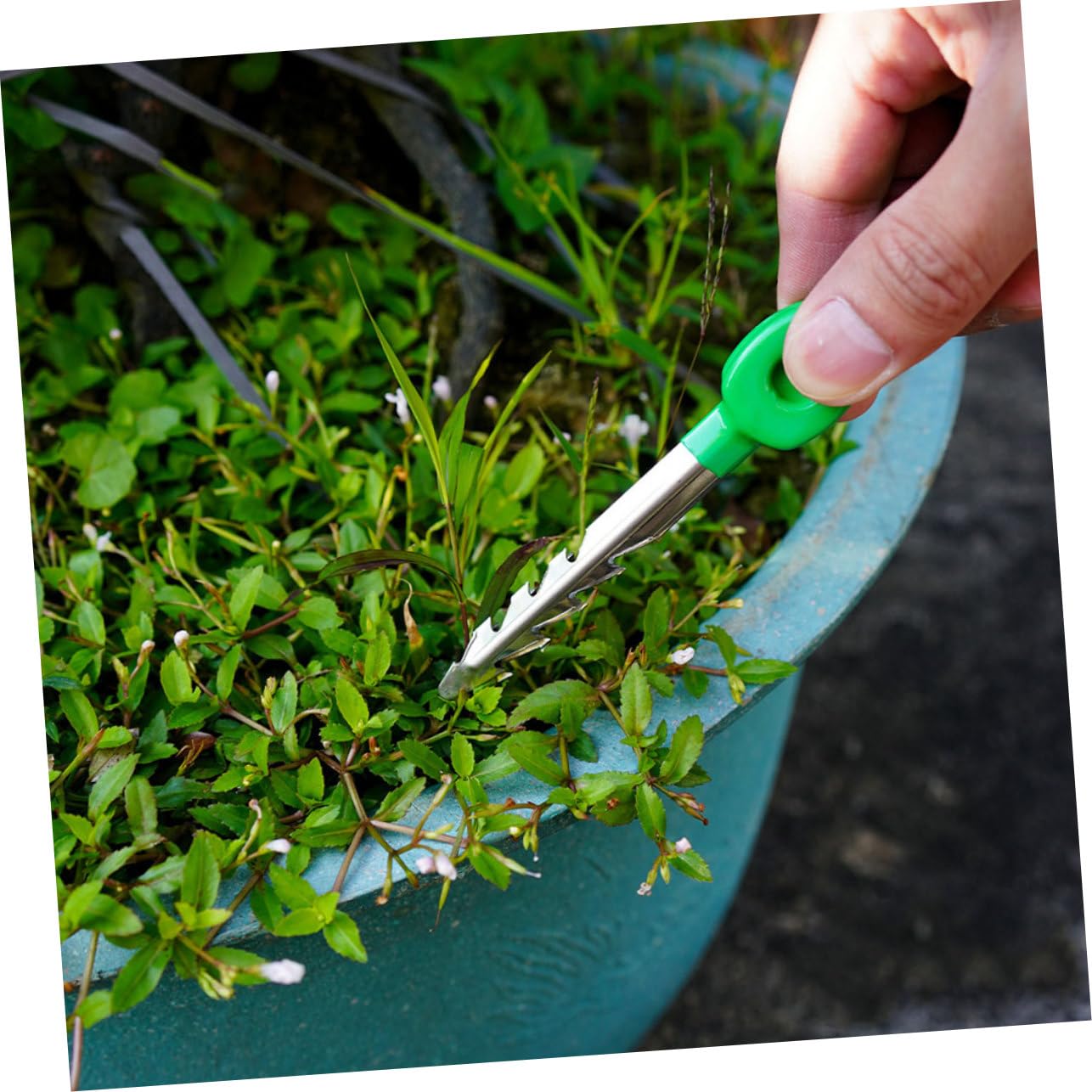 ifundom 5 Pezzi Pinzette da Giardinaggio Portatili Ergonomiche per Piante Strumento per Bonsai Facile da Usare e Pratico Attrezzo Compatto per Hobbistica e Giardinaggio