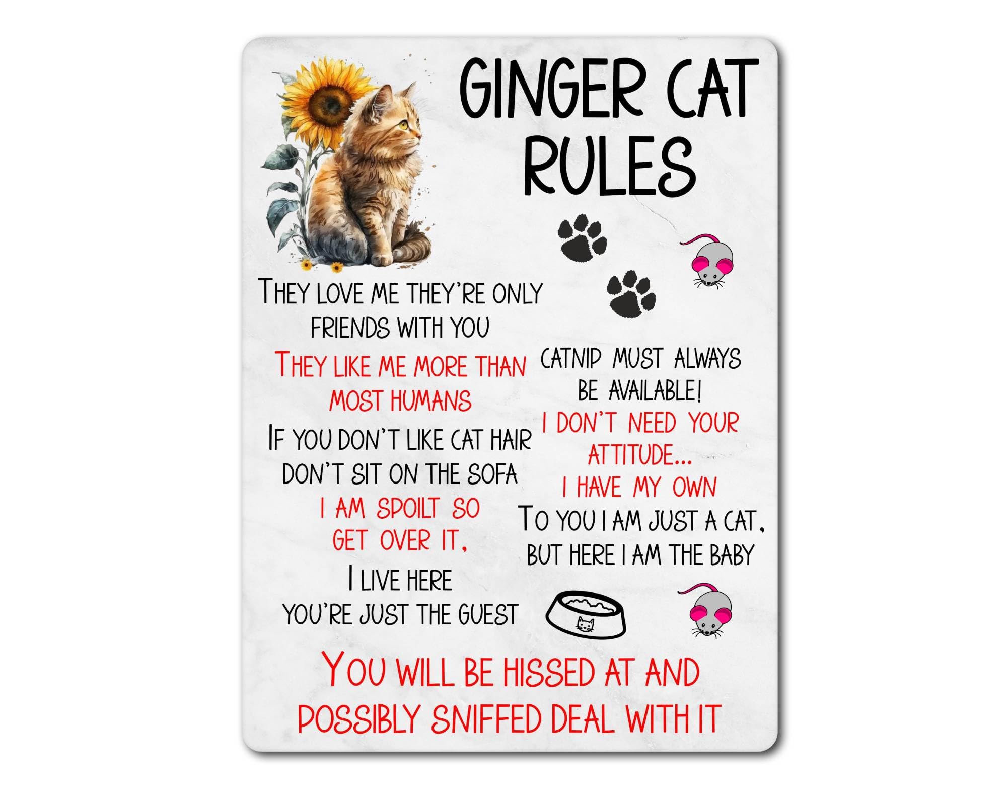 Decalarama Ginger/Orange Cat Metal Sign Gift – Cat Rules – I Am Spoilt So Get Over It – Family Fun Pet Animal Novelty Aluminium Present