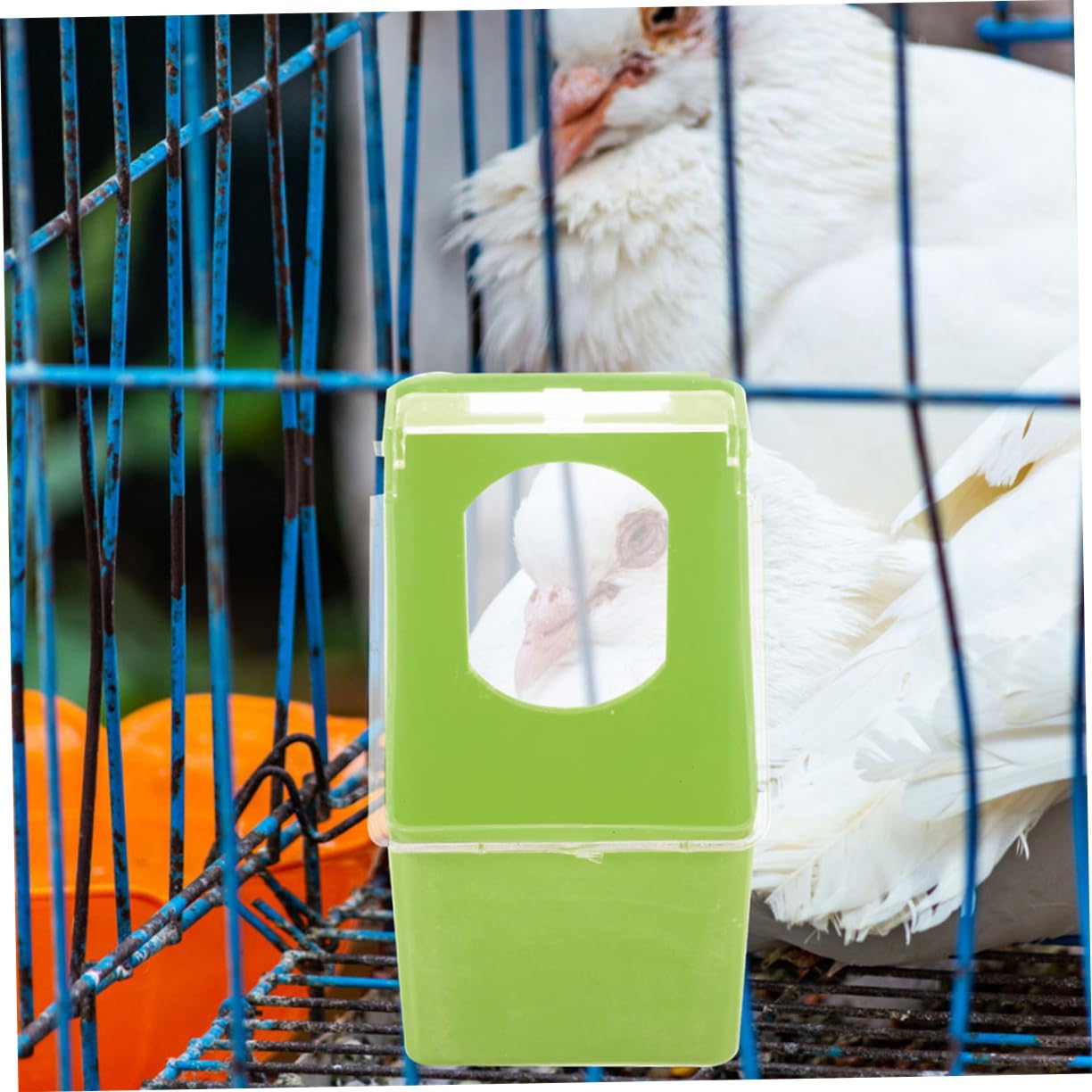 VANZACK 8pezzi Mangiatoia Sospesa Per Gancio Distributore Per Piccioni e Pappagalli Facile Installare Piccole Specie