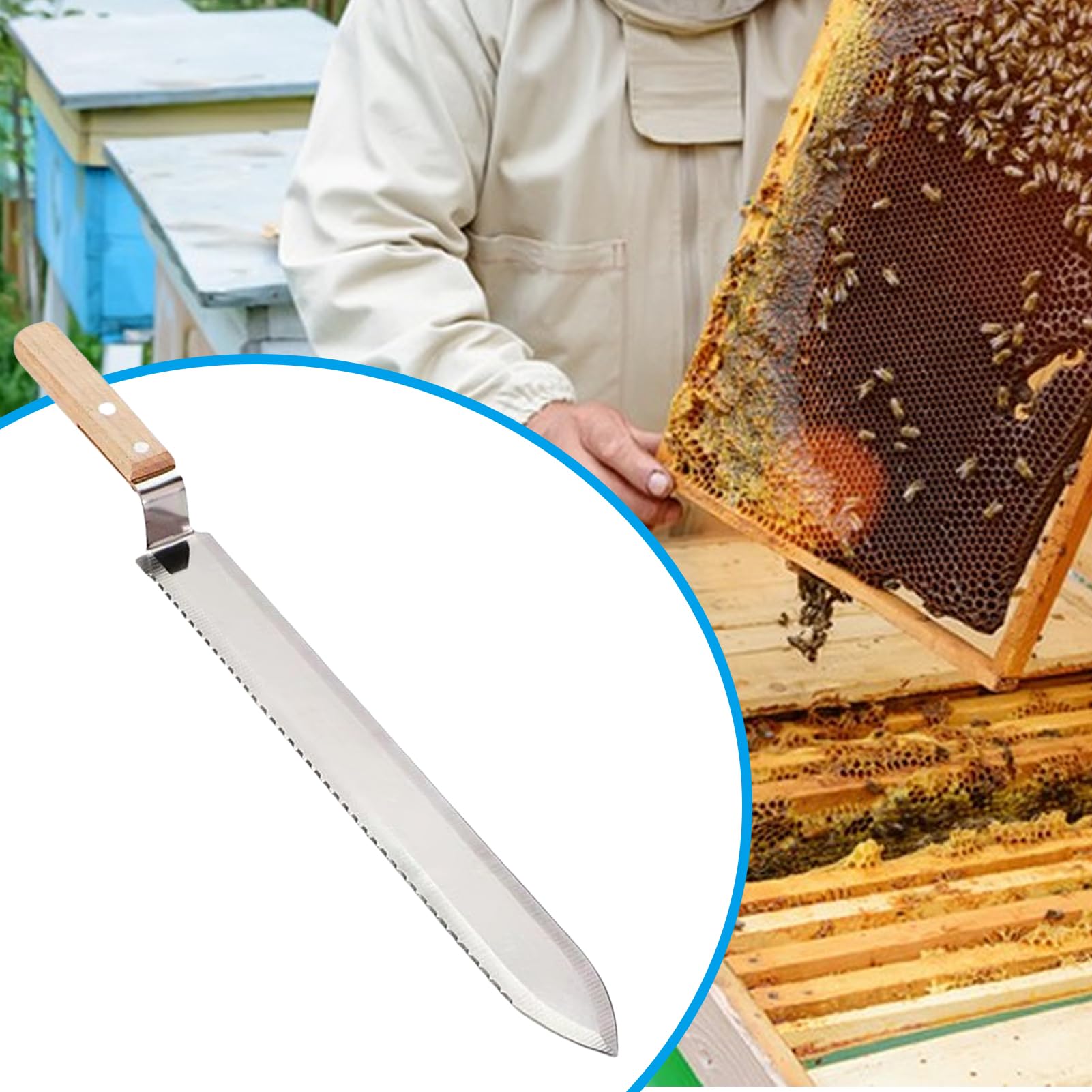 Couteau À Désoperculer - Couteau À Désoperculer Le Miel | Couteau À Opercule Dentelé En Acier Inoxydable, Couteau À Nid D'abeille, Outil Pour La Récolte Et L'extraction Du Miel